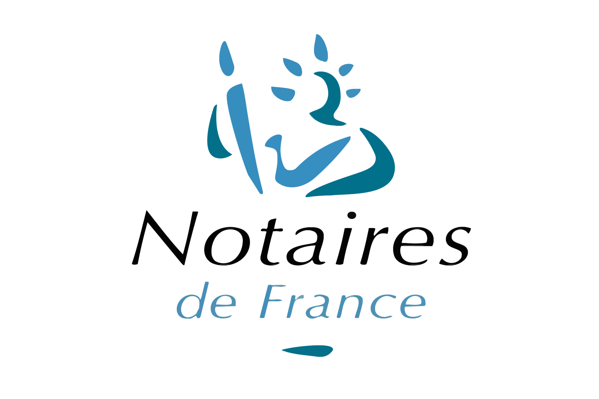 Accompagnement notaire Auvergne